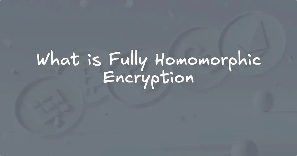 What is Fully Homomorphic Encryption